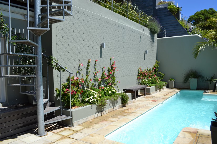 40 Napier Street - pool & terrace